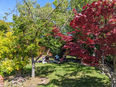 1 bedroom for rent in 3BR 2BA house [December 14] Main Photo