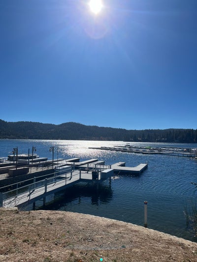 $1000 Budget, Male, 37, Ready To Move In Main Photo