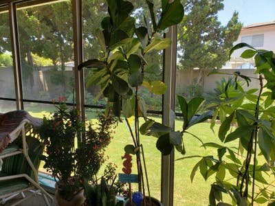 Room For Rent near Buena Park/Cypress/Artesia Main Photo