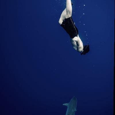 Room wanted in New York Main Photo