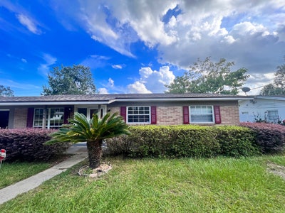 Active Duty with a Pup Main Photo