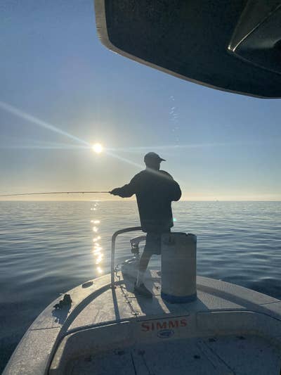 Reliable male looking for room in East MB now Main Photo