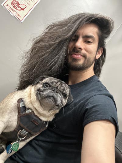 Guitarist and Pug Seeking Chill Affordable Housing Main Photo