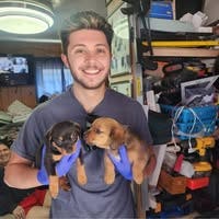 Room wanted in Boston Main Photo