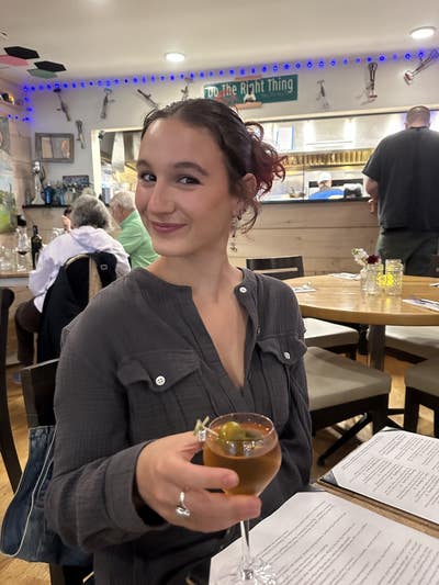 Room wanted in Chicago Main Photo