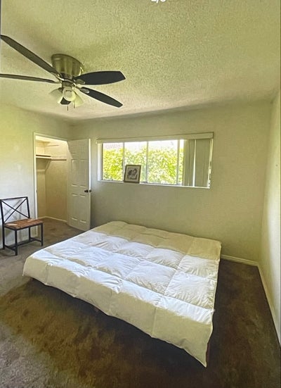 Nice Bedroom with beautiful view of trees Main Photo