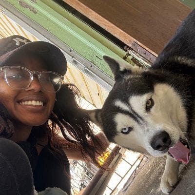 Room wanted in Queens, NY Main Photo