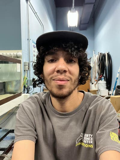 Room wanted in Jersey City, NJ Main Photo