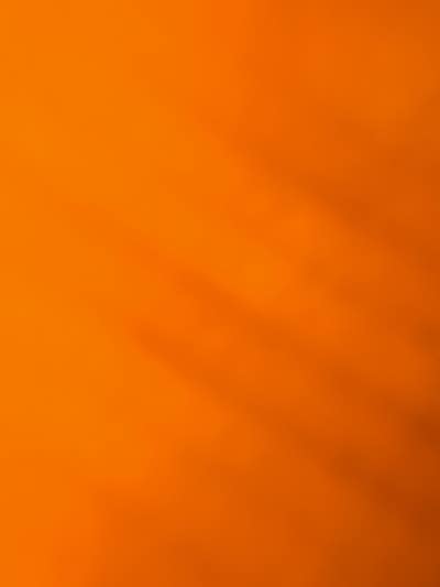 Room wanted in New York Main Photo