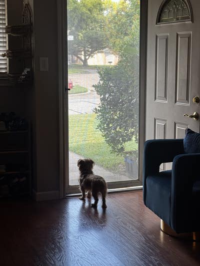 Bedford Home- The Girl's House  Main Photo