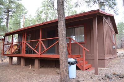 Cabin in the Pines Main Photo