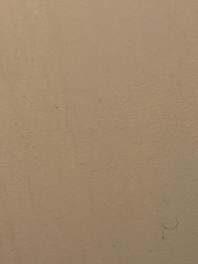 Room wanted in Austin, TX Main Photo