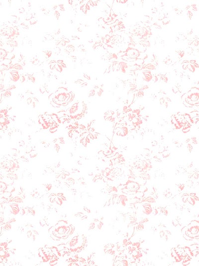 Room wanted in New York Main Photo