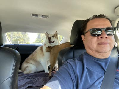 Professional Male seeks a small or large room Main Photo