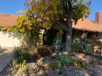 Large Room on Cul-De-Sac, Walk to 3 Shop Centers Main Photo