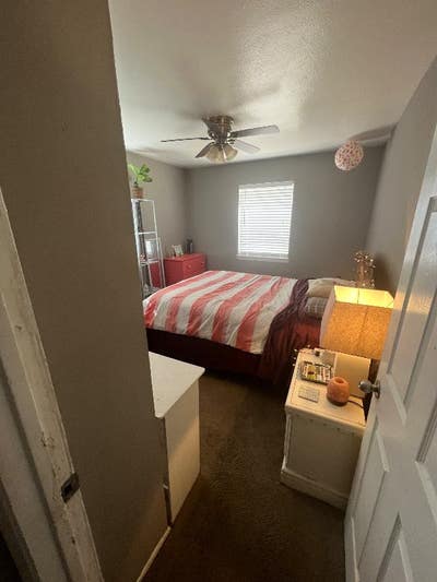 Nature room! Main Photo