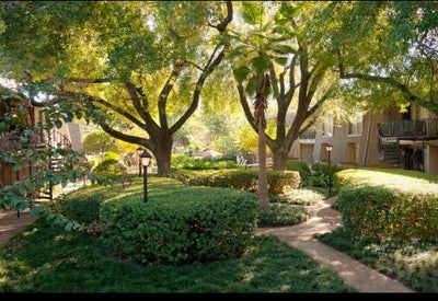 Single bedroom available  Main Photo