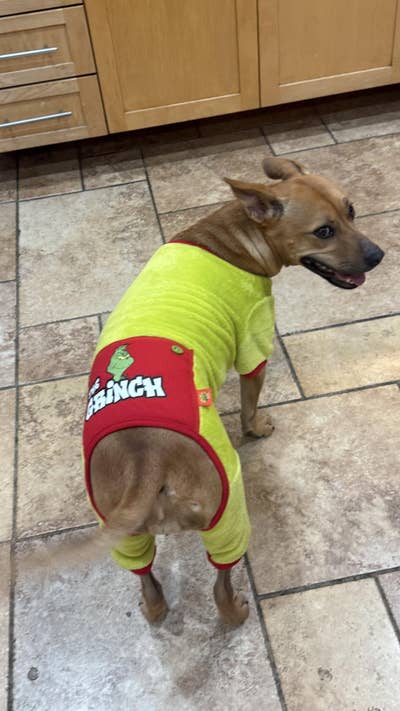 Room wanted in Los Angeles Main Photo