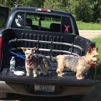 Room wanted in Federal Way, WA Main Photo