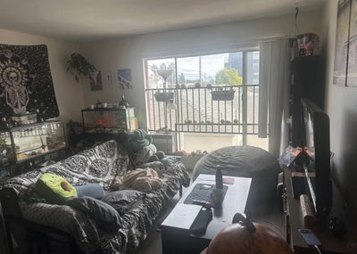 Roommate Wanted  Main Photo