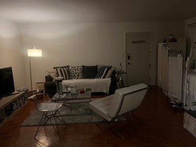 Room for rent in a spacious apt  Main Photo