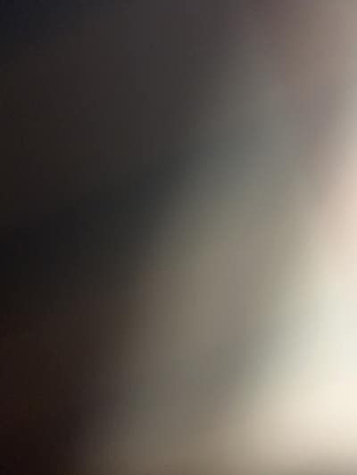 Room wanted in Chicago Main Photo