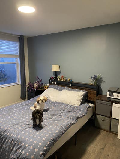 Private room in Baltimore townhouse Main Photo