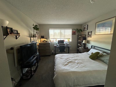 Private room and bathroom Main Photo