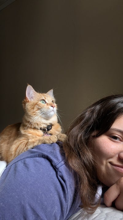 Room wanted in Seattle Main Photo