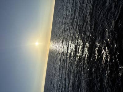 Room wanted in Los Angeles Main Photo