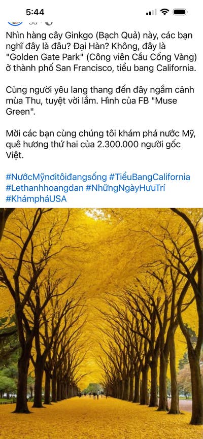 Room wanted in Laguna Niguel, CA Main Photo