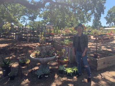 Professional Female seeks a small or large room Main Photo