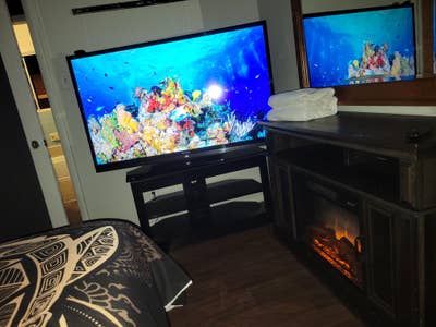 Turtle n Bunny's Main Photo