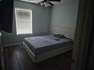 Mutually beneficial arrangement  Main Photo