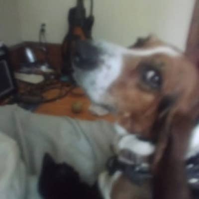 NEED ROOM  Main Photo