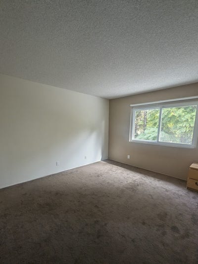 Spacious Room for rent Main Photo