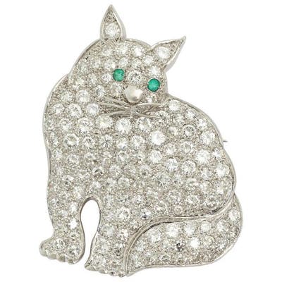 Room wanted in New York Main Photo