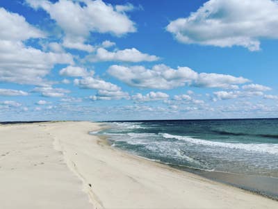 Lovely room by the Beach, Loyola, Otis, LAX Main Photo