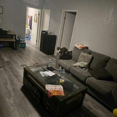 Hello , My name is Mercedes! Main Photo