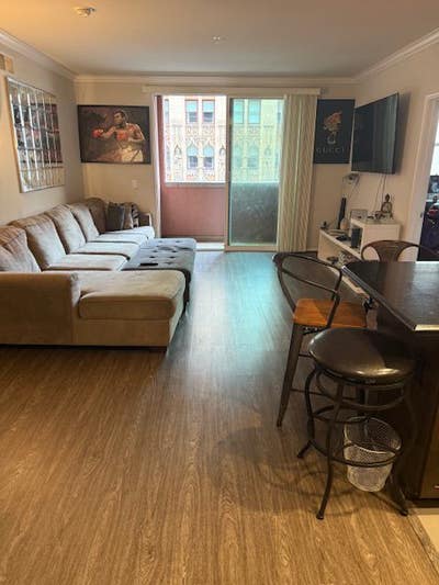 Seeking a roommate for a spacious DTLA apartment  Main Photo