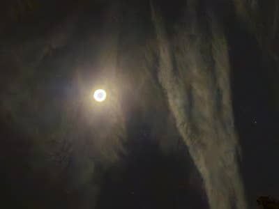 Room wanted in Orlando Main Photo