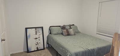 Young Professional Needs Roommate Main Photo