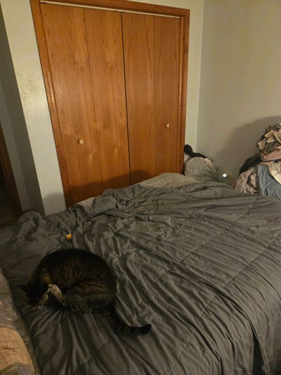 Small apartment that is added on to the house Main Photo