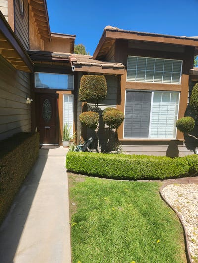 Professional  Main Photo