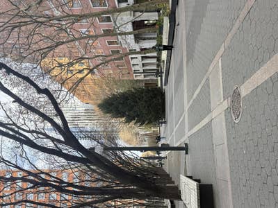 Room wanted in New York Main Photo