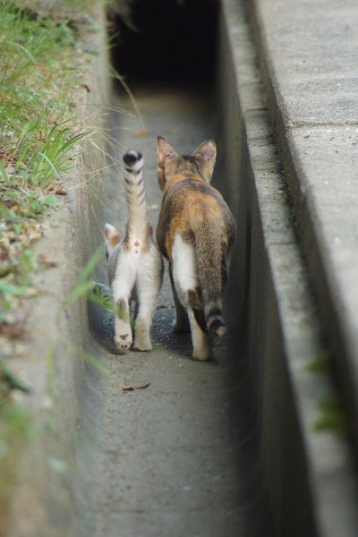 Room wanted in Fort Lauderdale, FL Main Photo