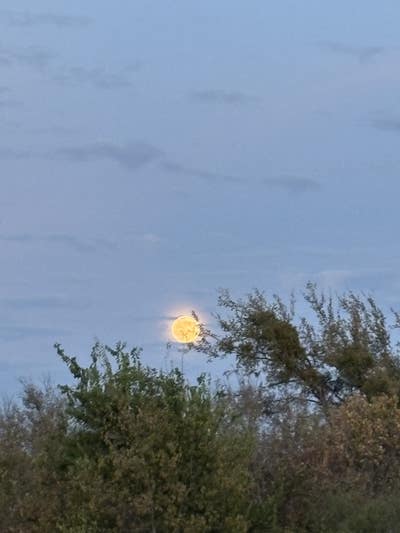 Room wanted in Austin, TX Main Photo