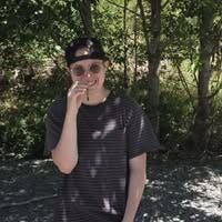 Couple and 3 cats looking for a room in LA Main Photo