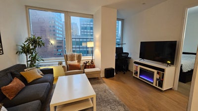 🌟 Luxury 1 BR Sublease in Manhattan (FiDi / Seapo Main Photo