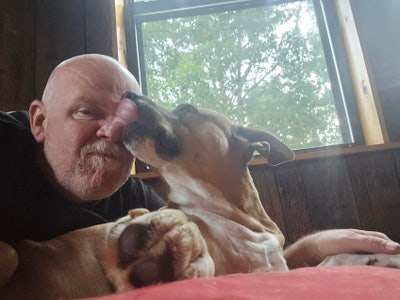 Roommate/House/Dog Sitter Main Photo